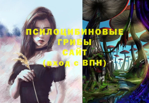 ПСИЛОЦИБИНОВЫЕ ГРИБЫ Абинск