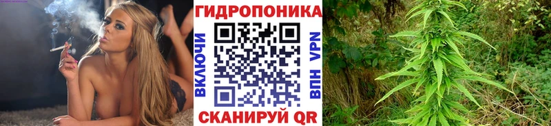 Конопля индика  Котово 